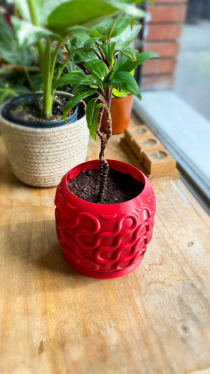 Seamless Planter Pot