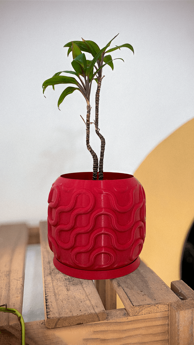 Seamless Planter Pot - OzFDM