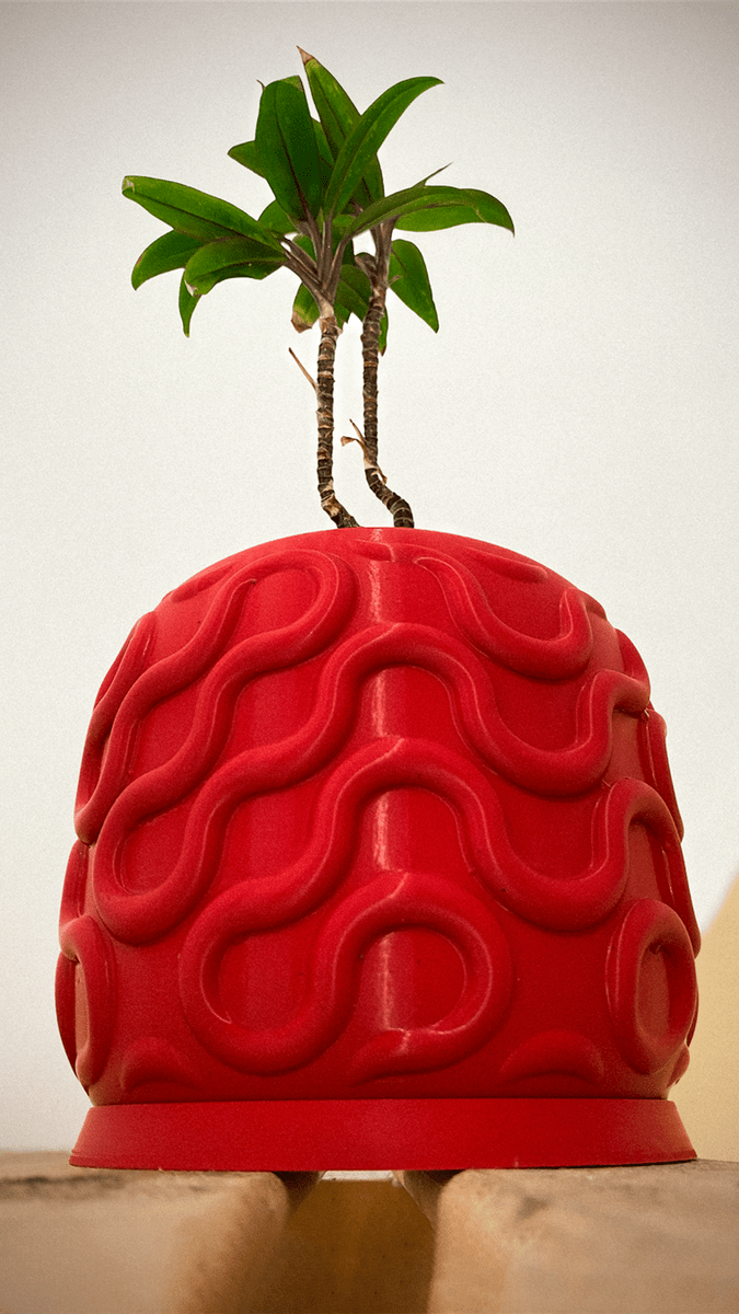 Seamless Planter Pot - OzFDM