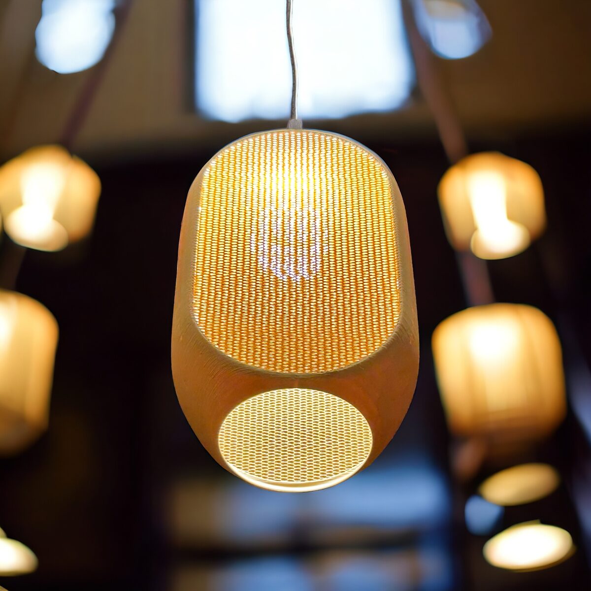 Skep Pendant Light