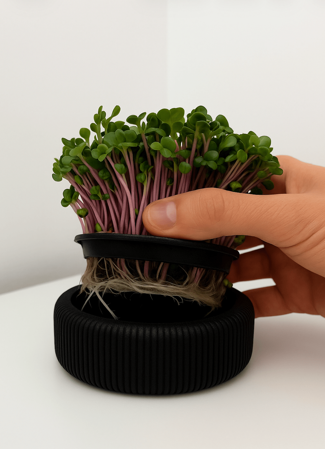 3D Printed Microgreens Growing Kit - OzFDM