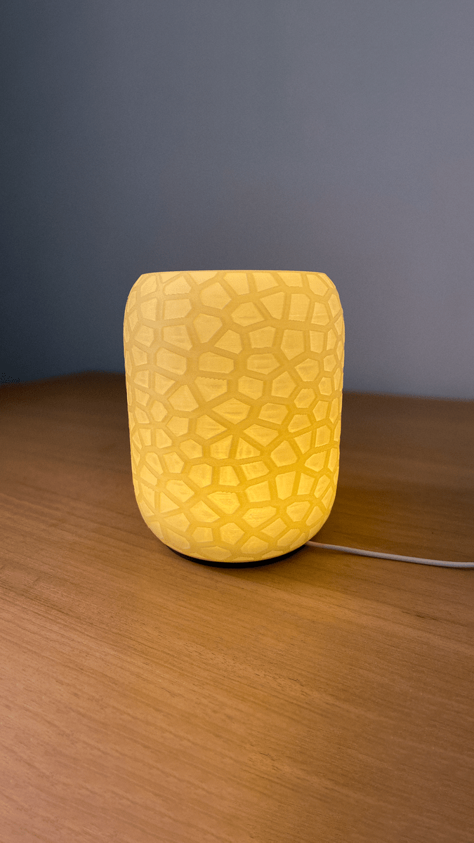 Voronoi Table Lamp - OzFDM