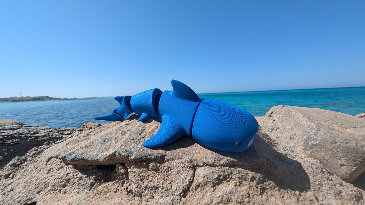 Whale Shark - Articualted Figure