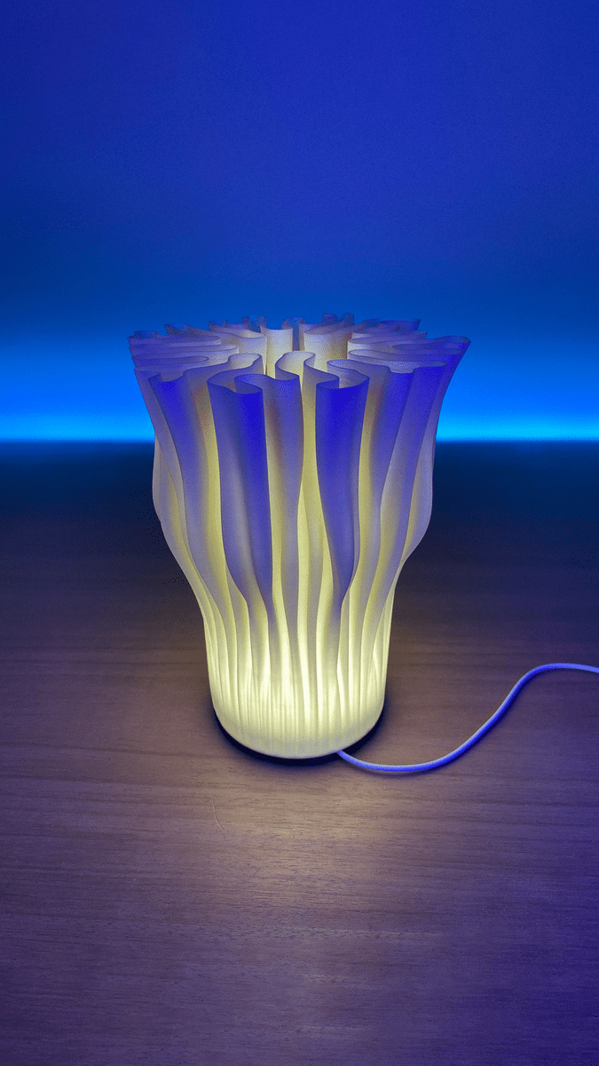Zoan Table Lamp - OzFDM