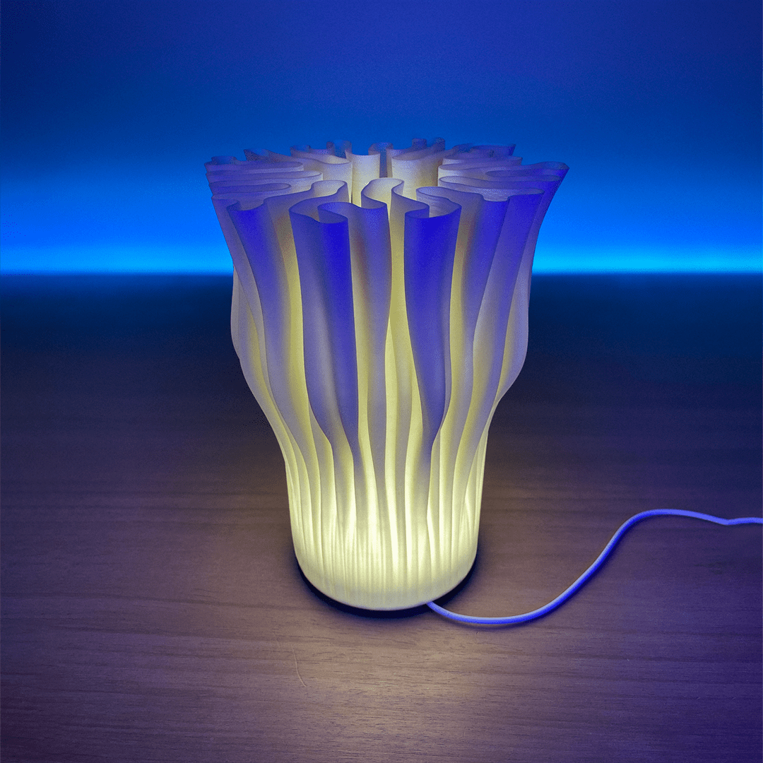 Zoan Table Lamp - OzFDM