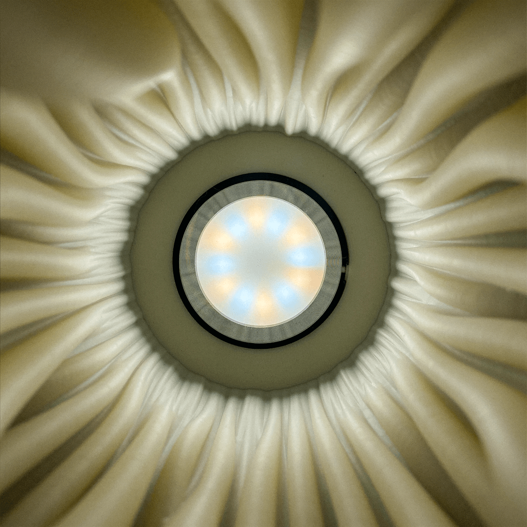 Zoan Table Lamp - OzFDM