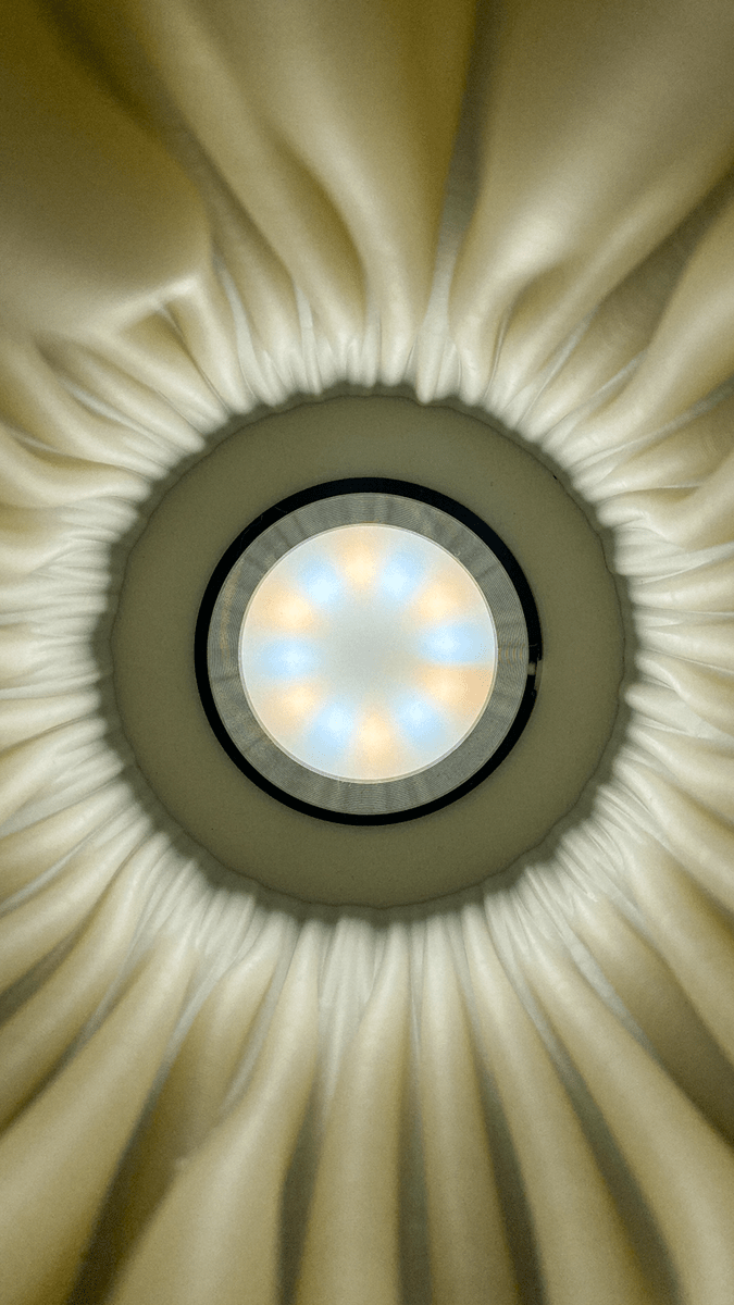Zoan Table Lamp - OzFDM