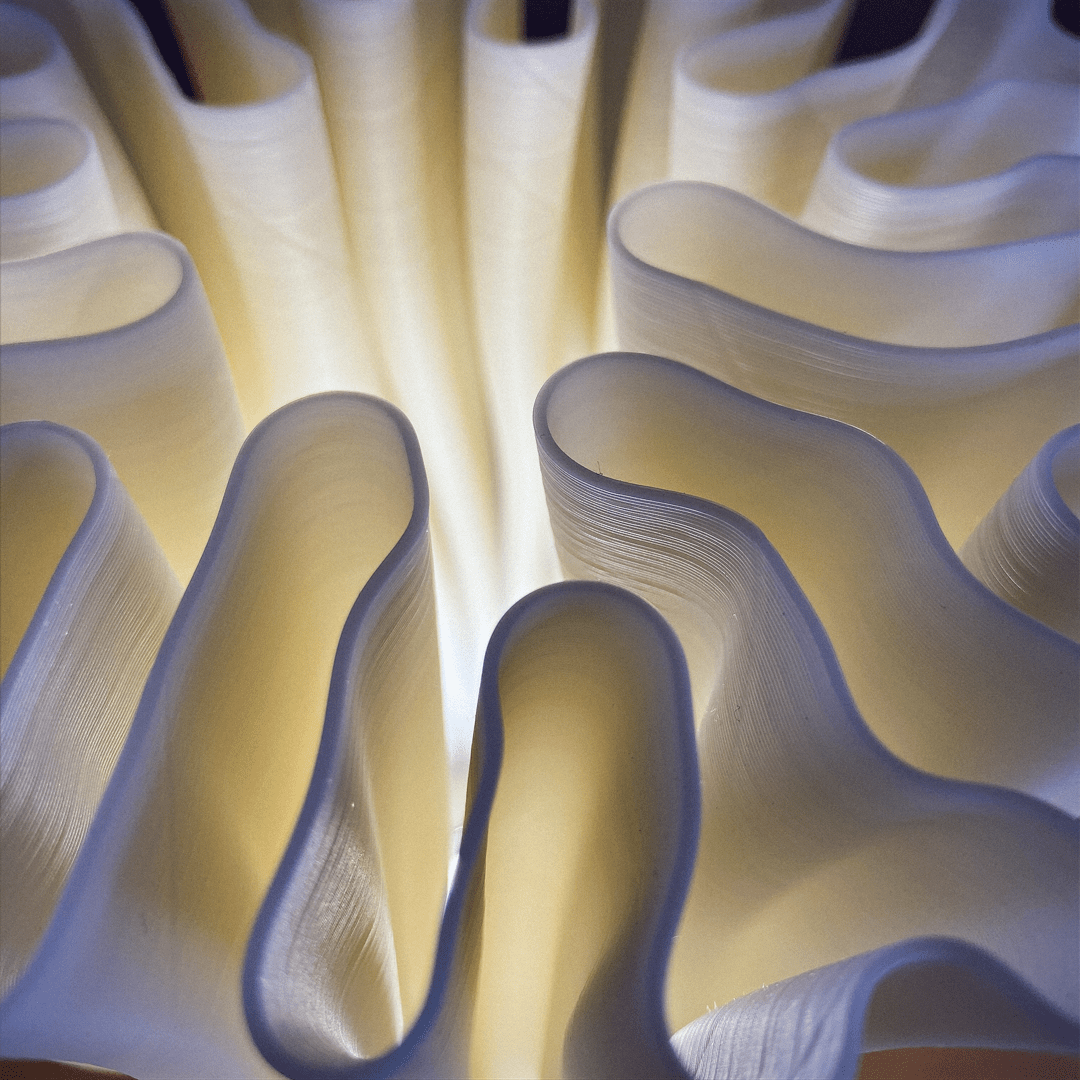 Zoan Table Lamp - OzFDM