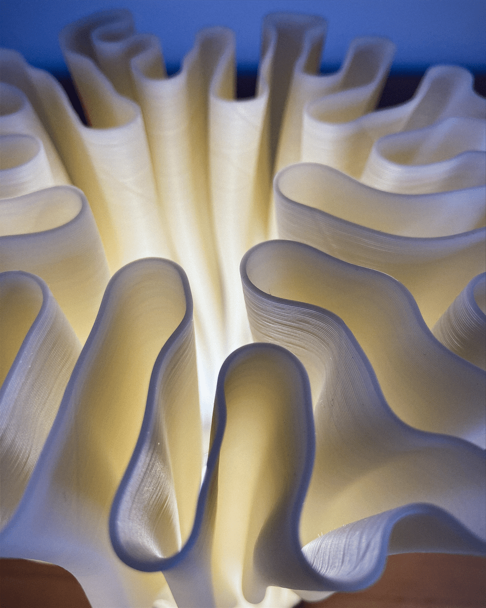 Zoan Table Lamp - OzFDM