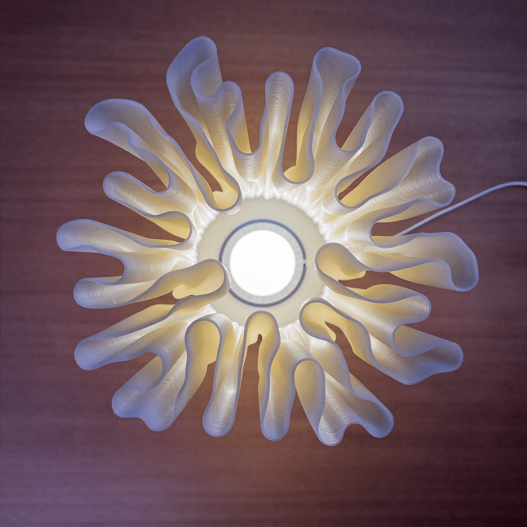 Zoan Table Lamp - OzFDM