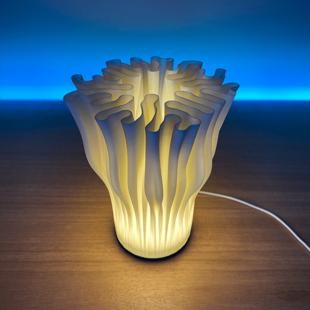 Zoan Table Lamp - OzFDM