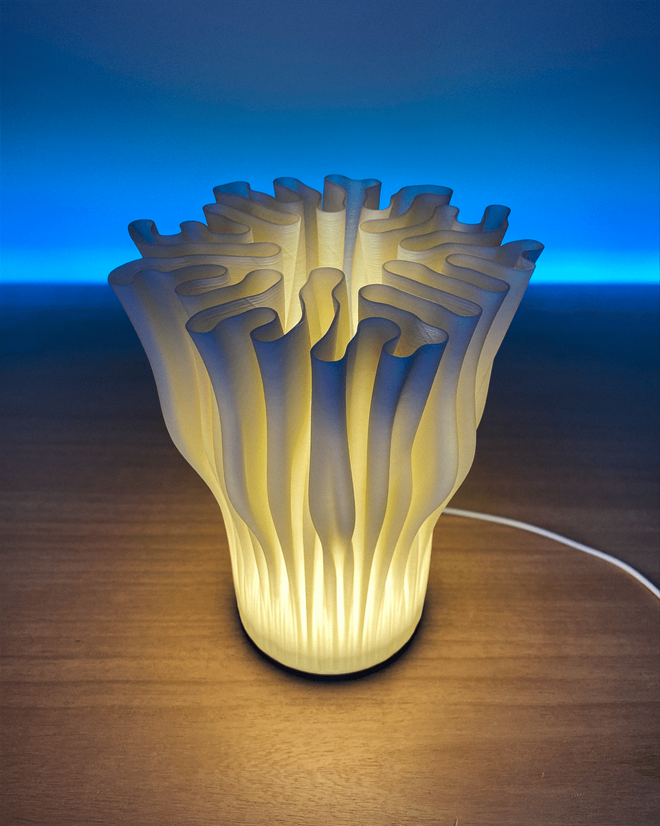 Zoan Table Lamp - OzFDM