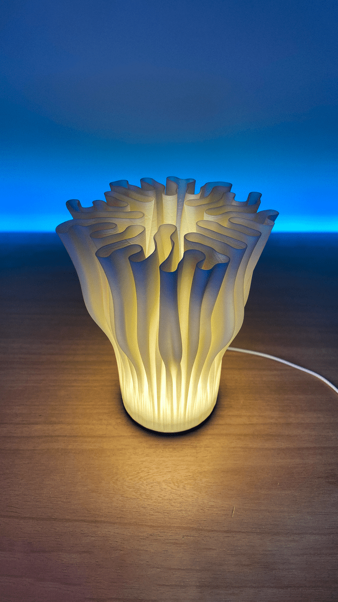 Zoan Table Lamp - OzFDM