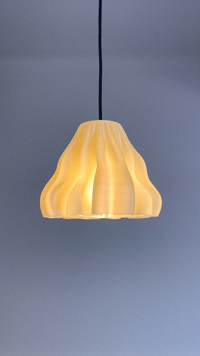 Zoan Pendant lamp