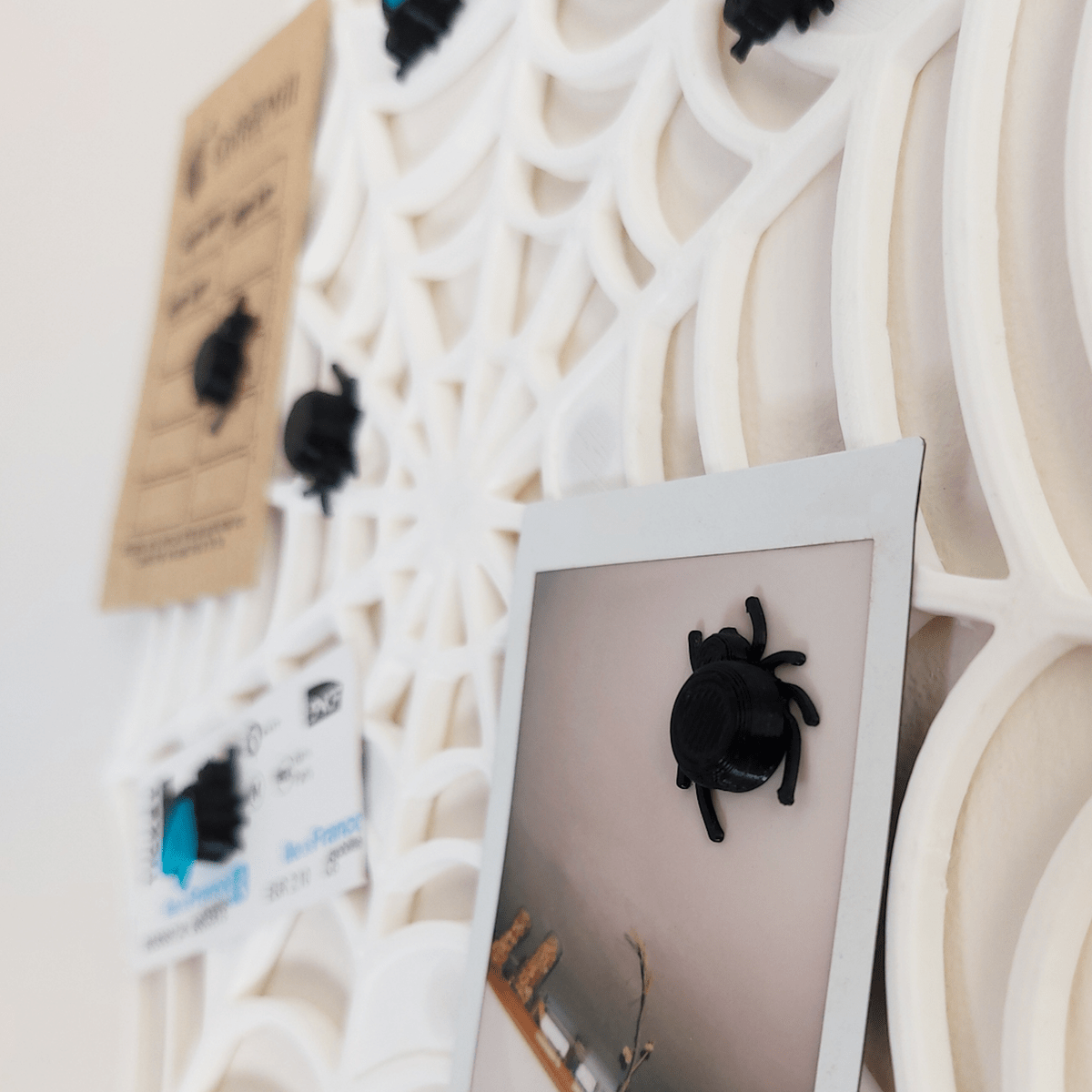 Spiderweb Pic Board - OzFDM