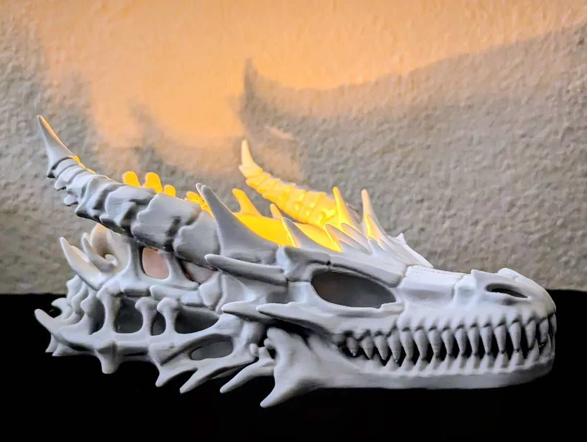 Dragon Skull Catchall