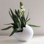 Egg Planter A
