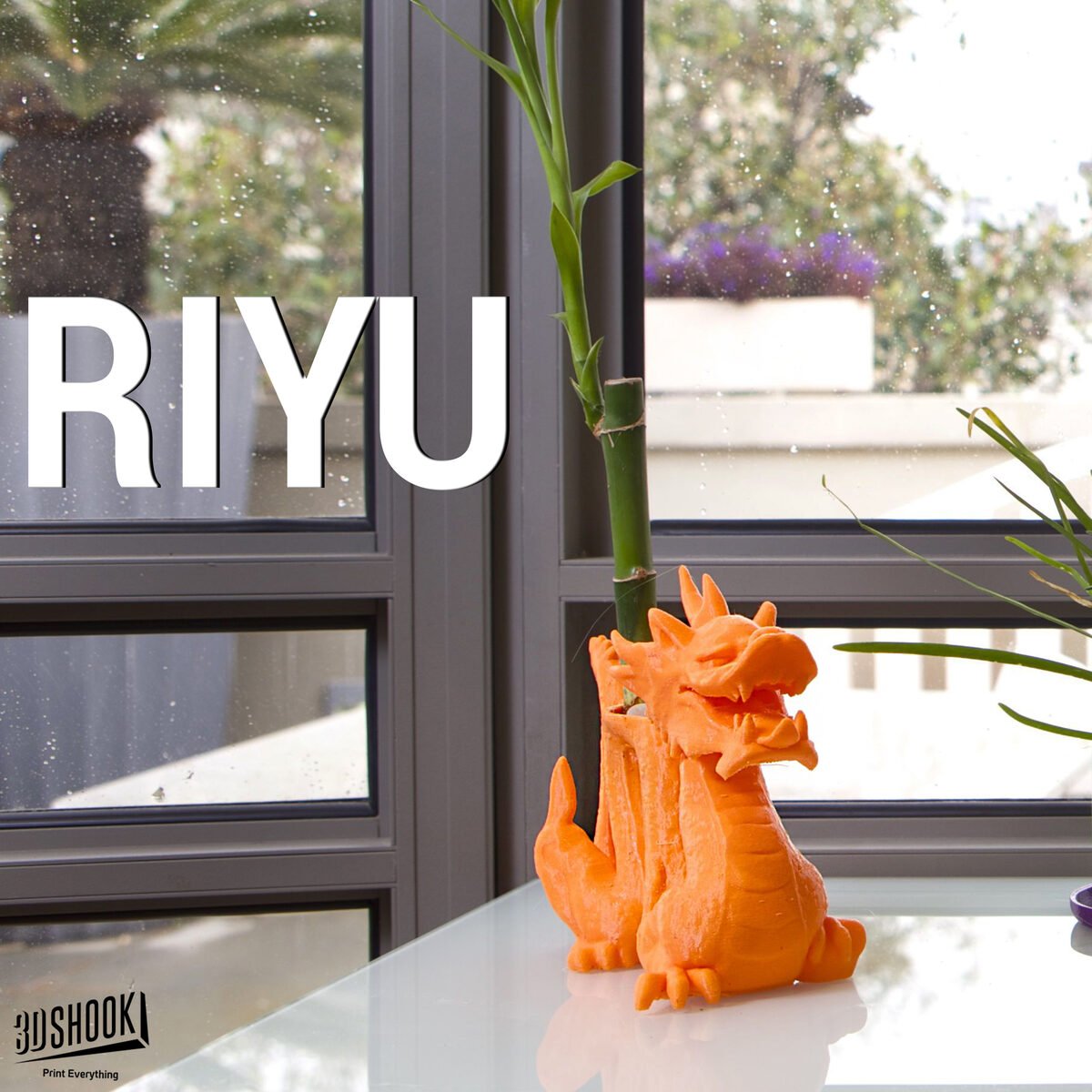 Riyu - OzFDM