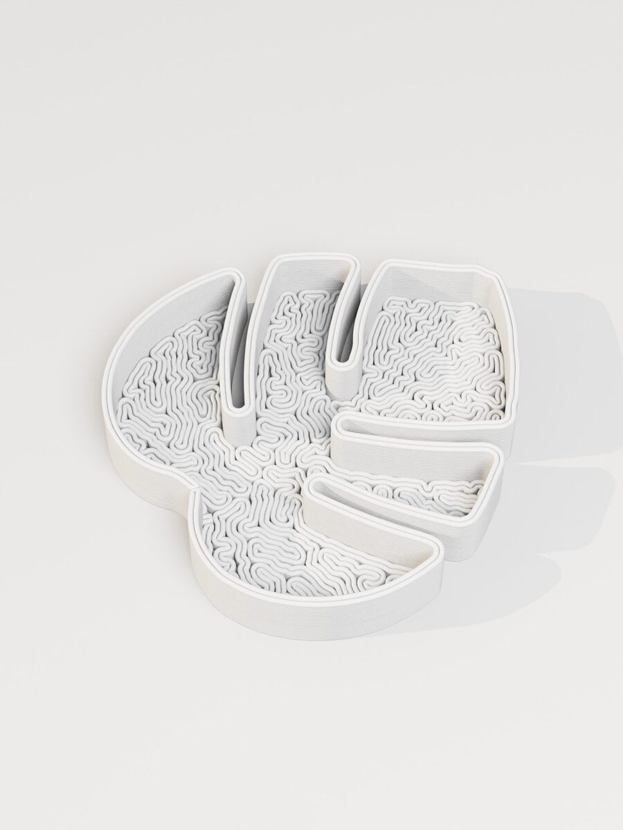 Monstera Leaf Jewelry Tray