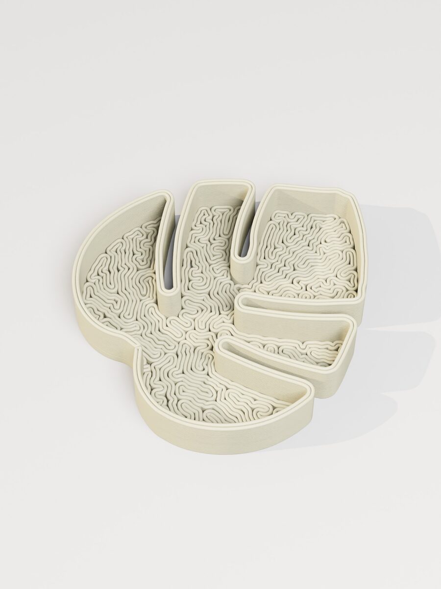 Monstera Leaf Jewelry Tray