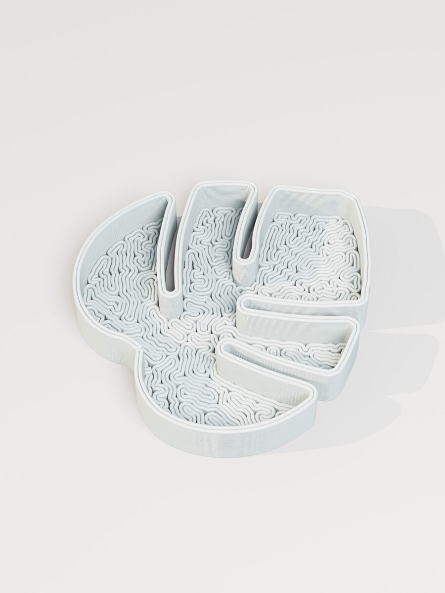 Monstera Leaf Jewelry Tray