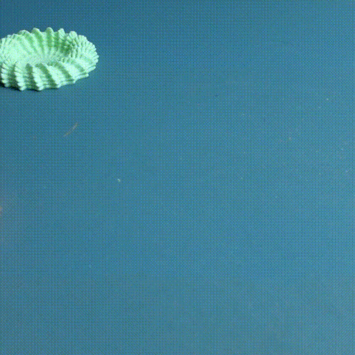 Small Bowl