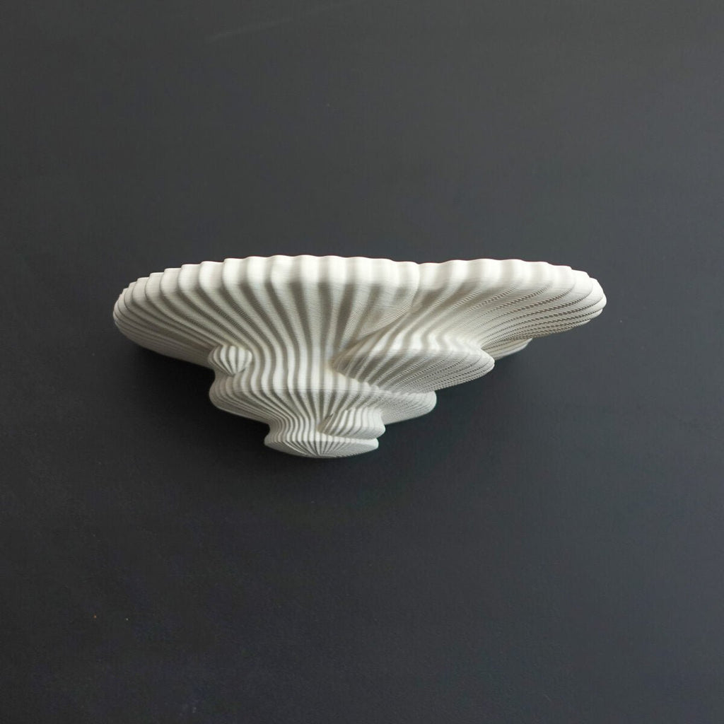 Tinder Fungus Floating Wall Shelf, 3D Printed Nature Decor