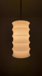 Leo Ripple Lattice Lampshade, 3D Printed Pendant or Table Lamp