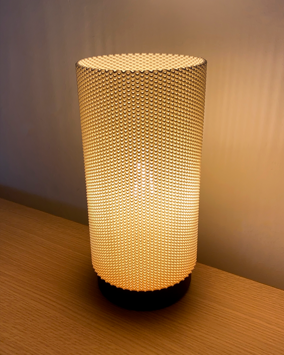 Eva Adaptive Lampshade