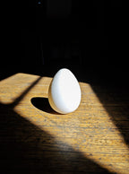 Hydro-Dipping Easter Egg Blanks, 3D Printed Craft Kit