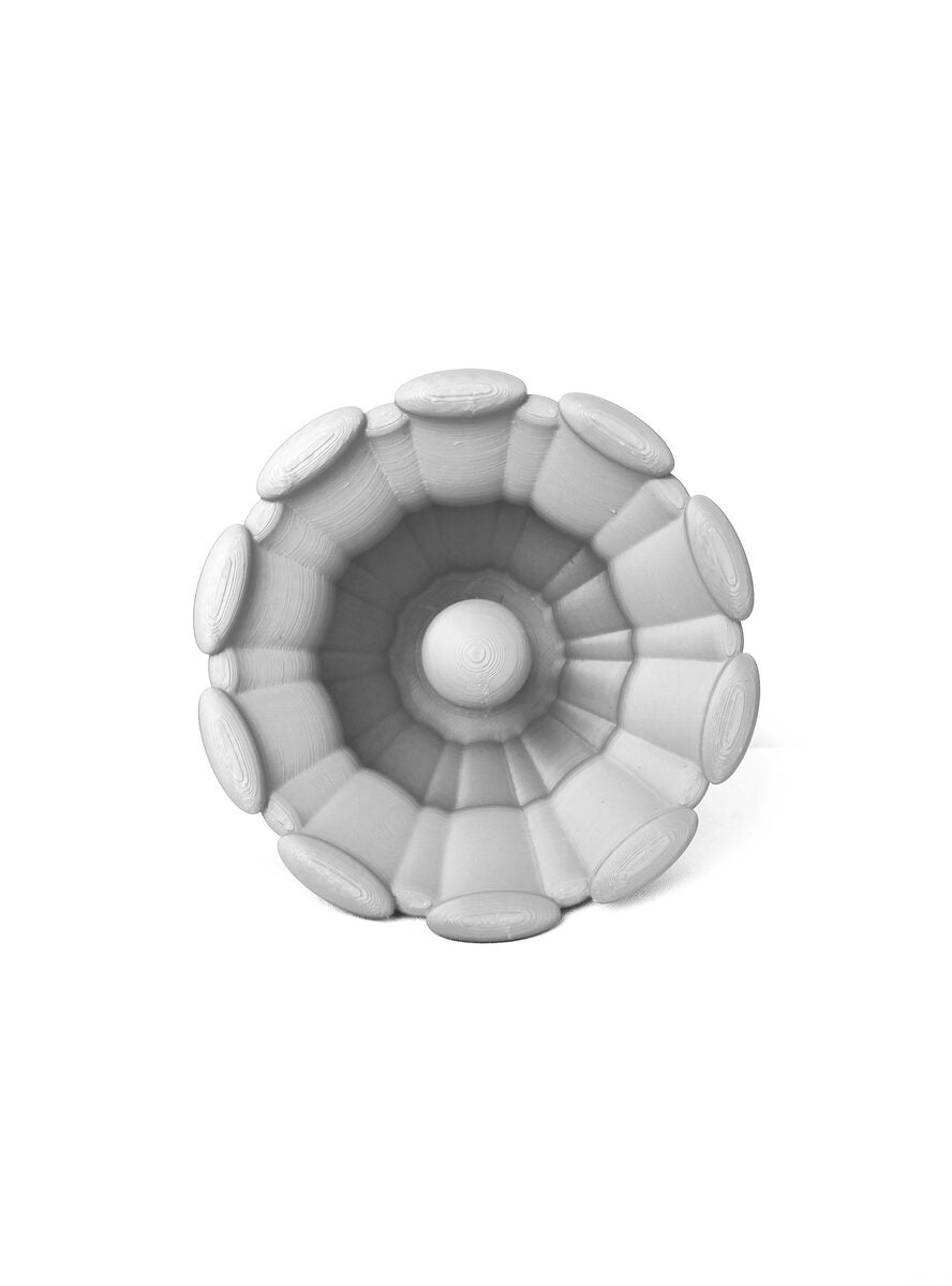 Cruel Coral