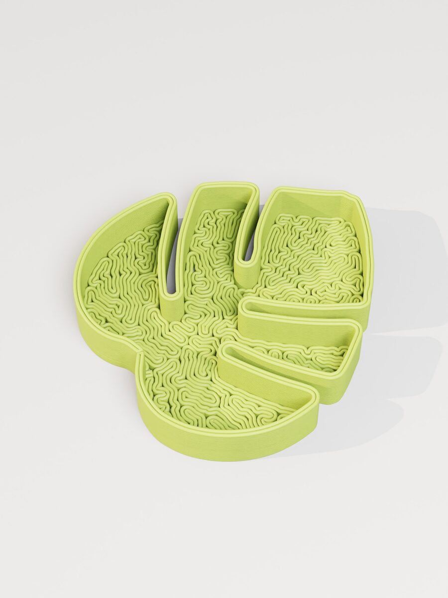 Monstera Leaf Jewelry Tray