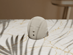 Inyo Face Incense Holder, 3D Printed Zen Ash Tray