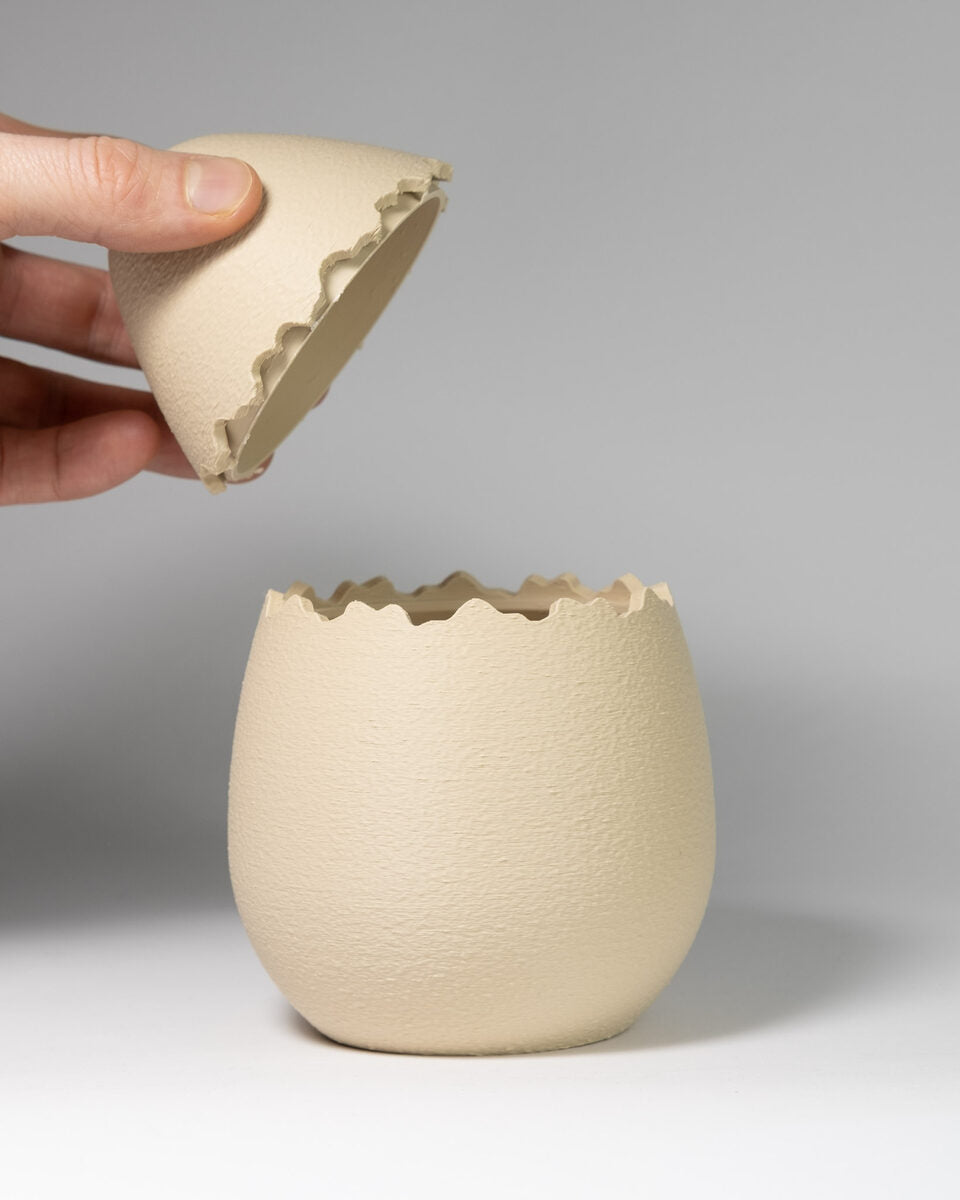 The Egg