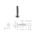 SS304 Thread Forming Screws for Plastics - OzFDM