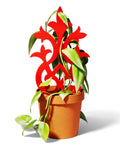 Flame Lattice Plant Trellis Stake, 3D Printed Vine Support