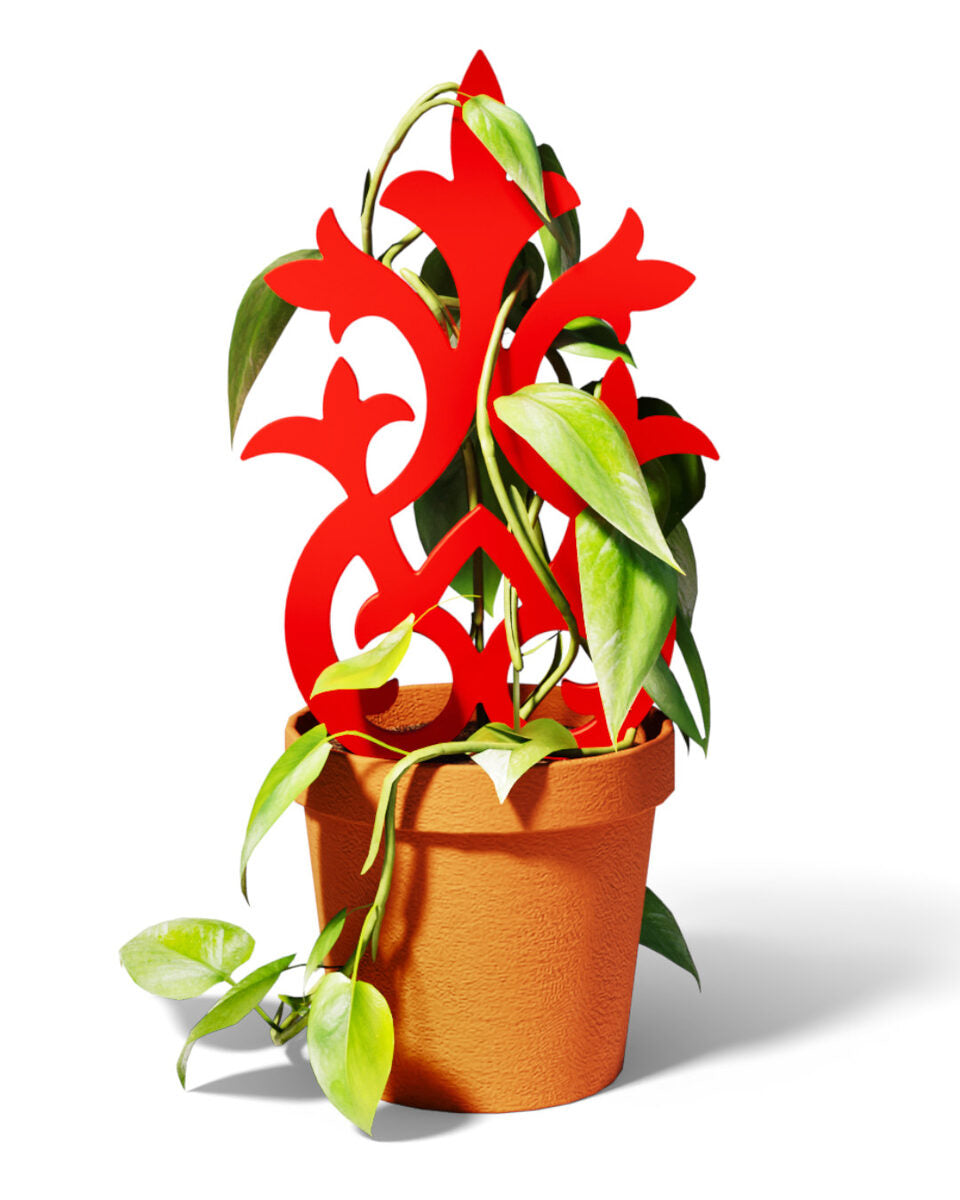 Plant Trellis #1