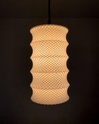 Leo Ripple Lattice Lampshade, 3D Printed Pendant or Table Lamp
