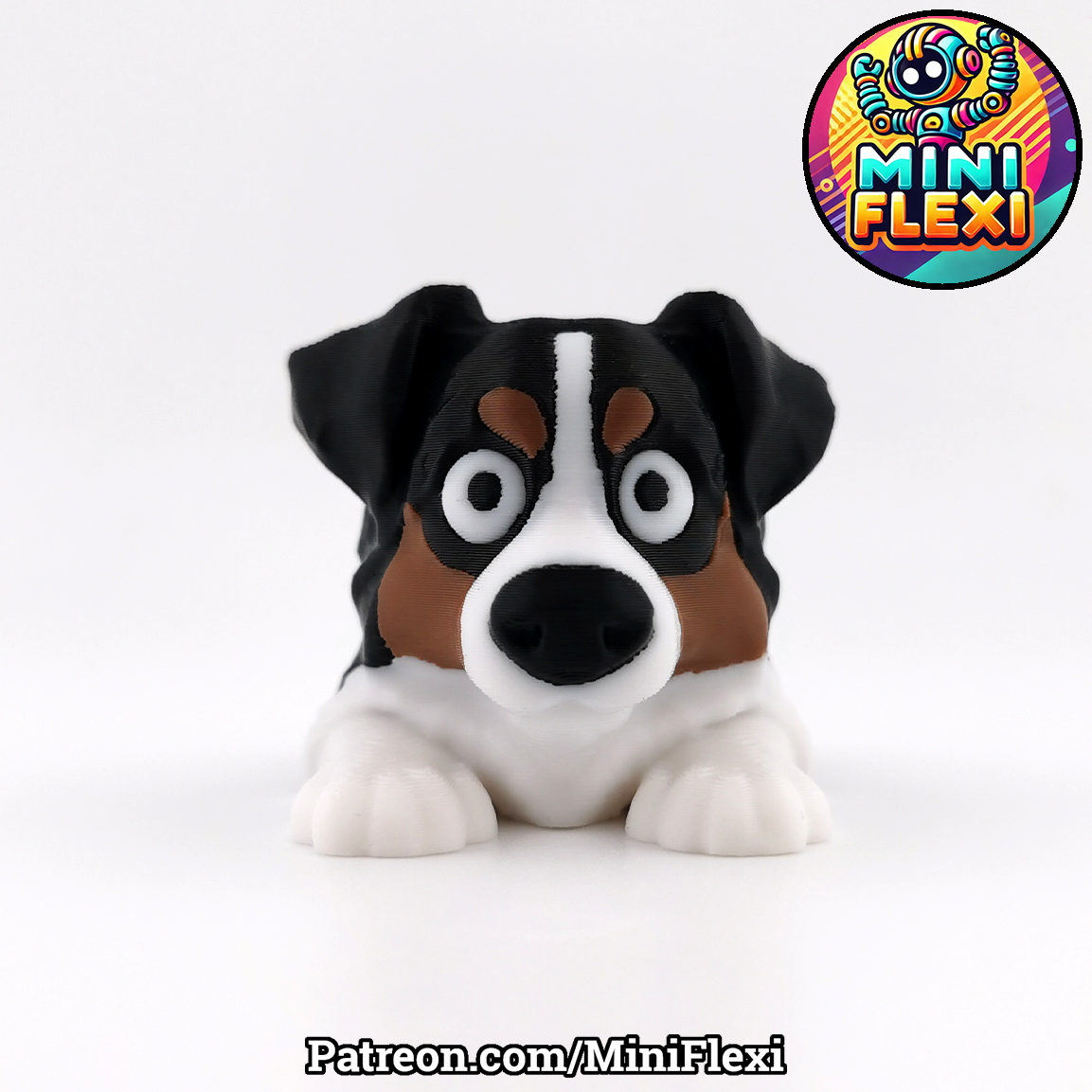 Flexi Dog - Australian Shepherd