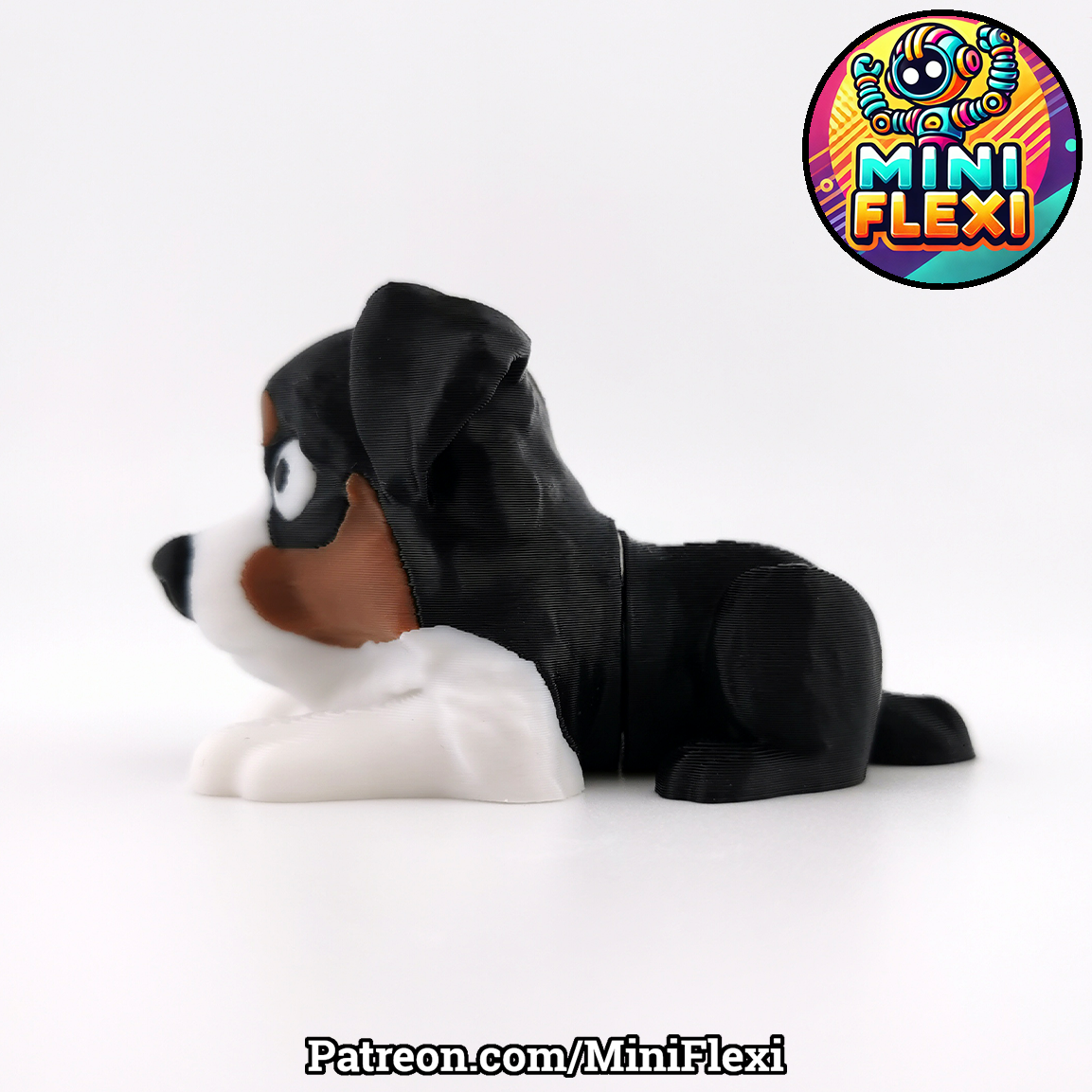 Flexi Dog - Australian Shepherd