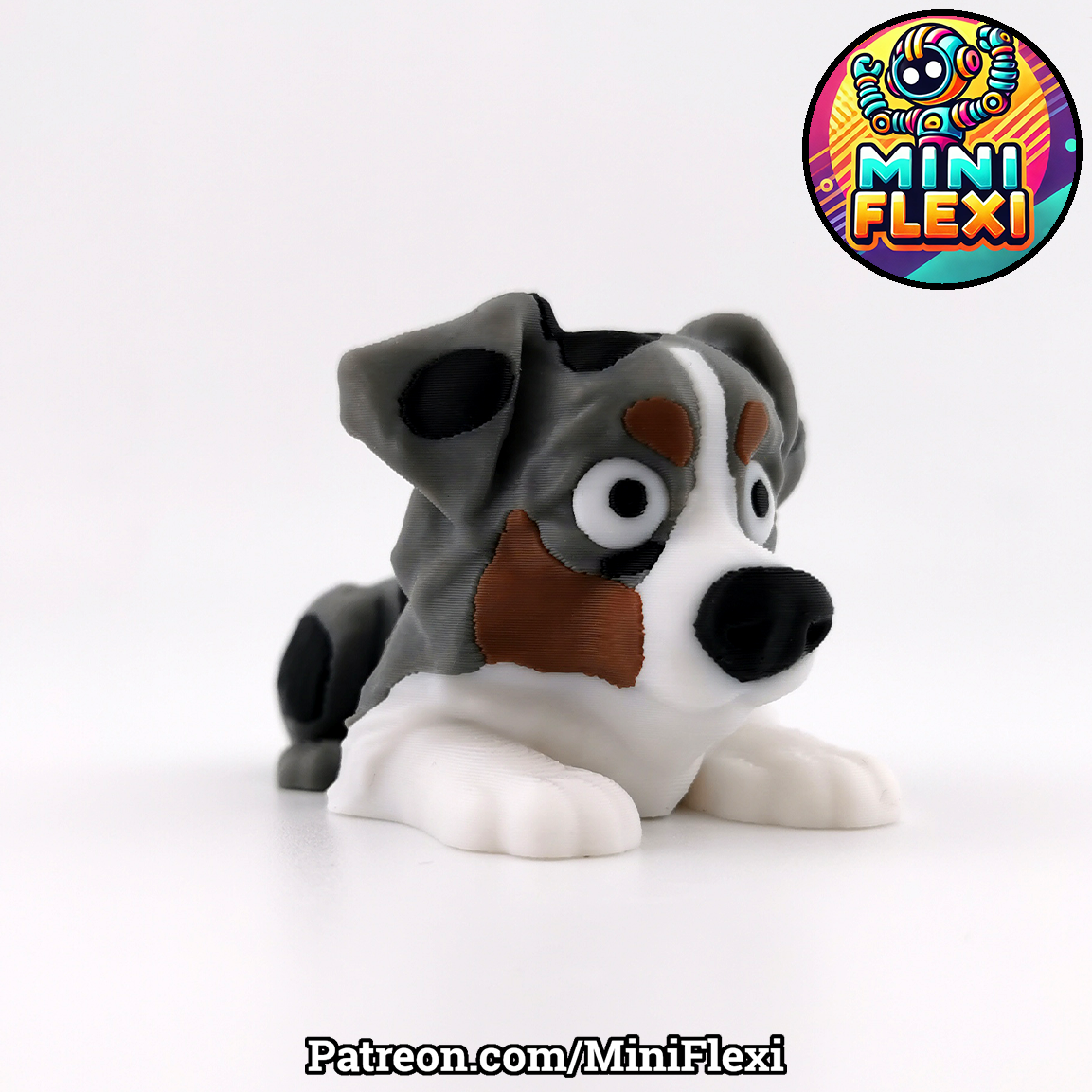 Flexi Dog - Australian Shepherd
