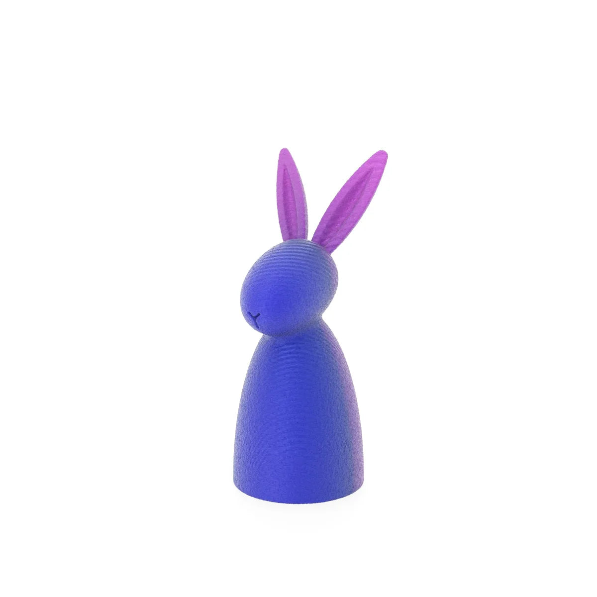 Funny Bunny Easter Docor :-)