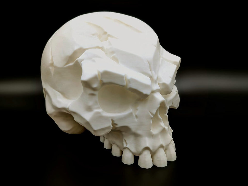 Battle-Scarred Skull Sculpture, 3D Printed Gothic Decor