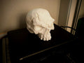 Battle-Scarred Skull Sculpture, 3D Printed Gothic Decor