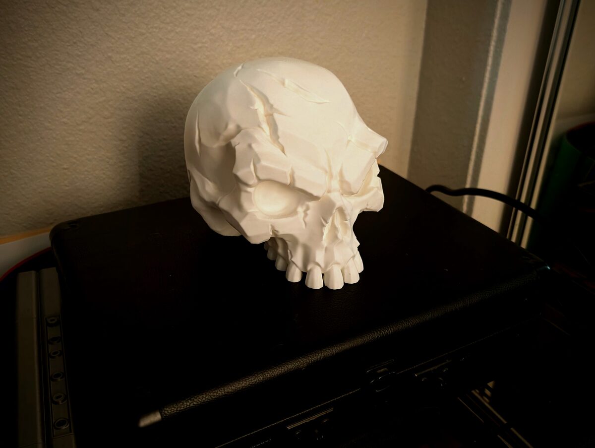 Battle-Scarred Skull - Dark Decor