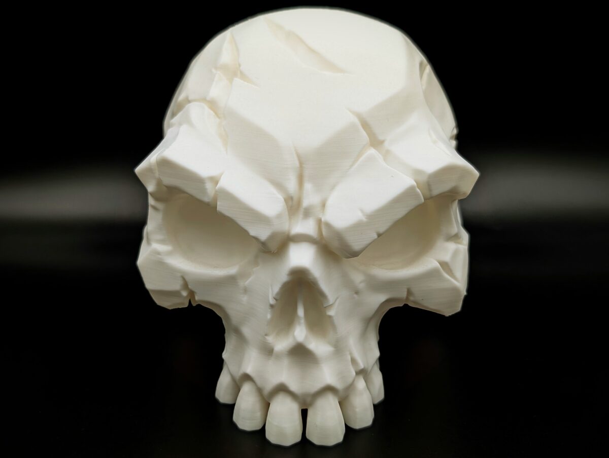 Battle-Scarred Skull - Dark Decor