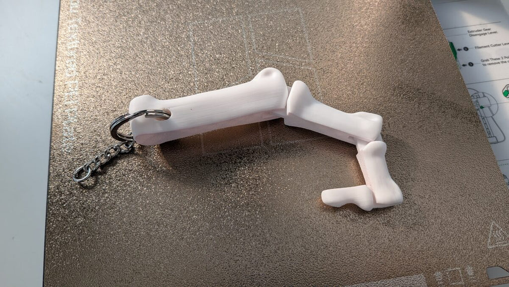 Articulated Bone Finger Keychain, 3D Printed Halloween Toy