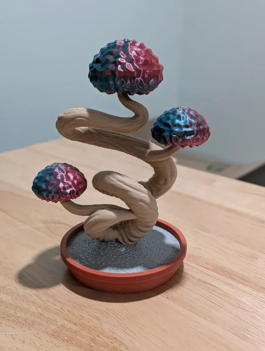 Twisted Spirit Bonsai Tree