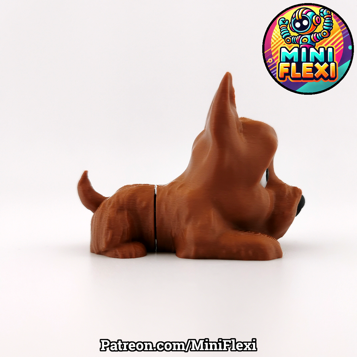 Flexi Cairn Terrier Dog