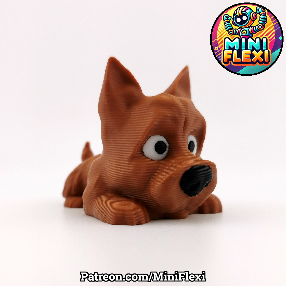 Flexi Cairn Terrier Dog